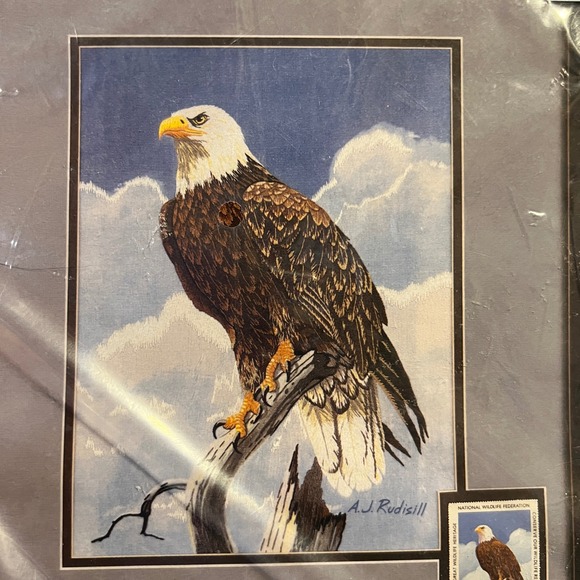 Candamar Designs Other - Candamar Designs Nature's Wonders Bald Eagle Embroidery Kit NWF 80294 – New